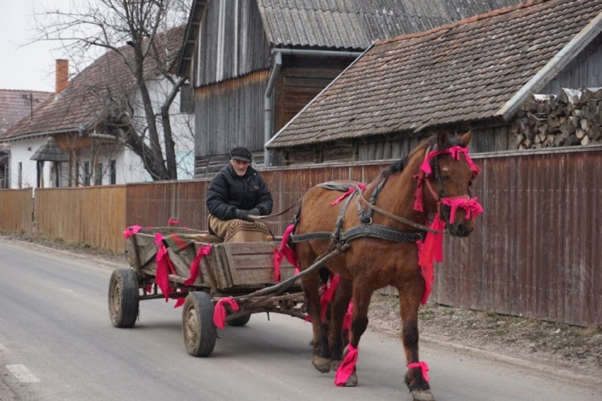 Farsangbúcsúztatás Csíkcsobotfalván