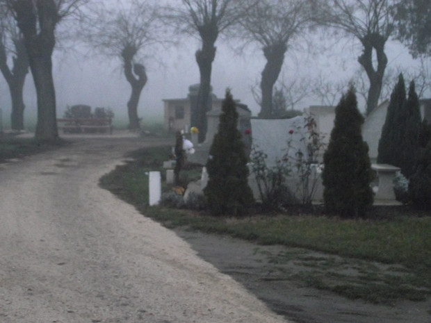 Kegyeleti park lesz a katolikus temetőből Hódmezővásárhelyen