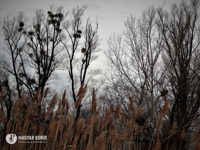 A Het Verse Ady Endre Az Eltevedt Lovas Magyar Kurir Katolikus Hirportal