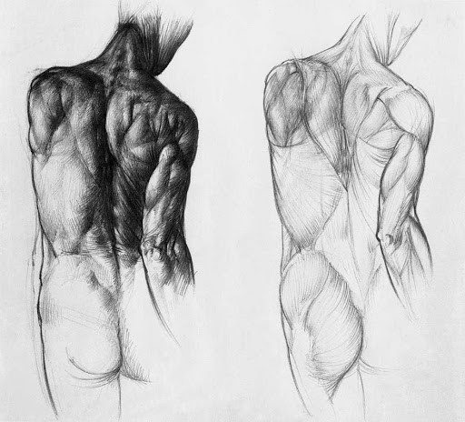 Részlet a Művészeti anatómia című könyvből 