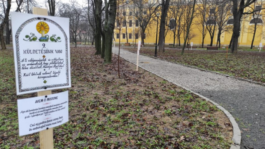 Házaspárok útja Nagyváradon a püspöki palota kertjében – Fotó: Nagyváradi Egyházmegye