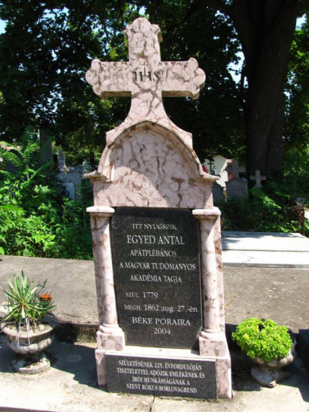 Egyed Antal dunaföldvári sírja (Fényképezte: Dr. Varga József)