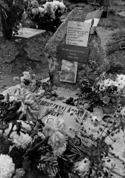 Brusznyai Árpád végső nyughelye