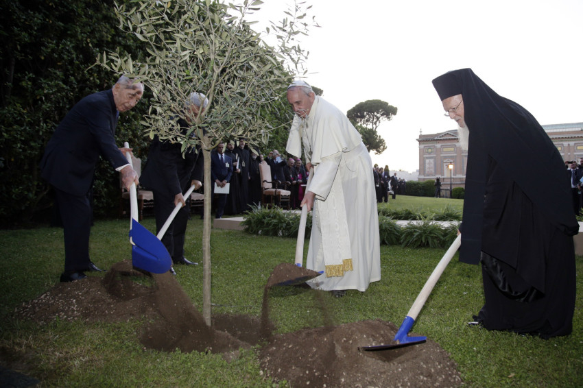 A béke fájának ültetése a vatikáni kertekben