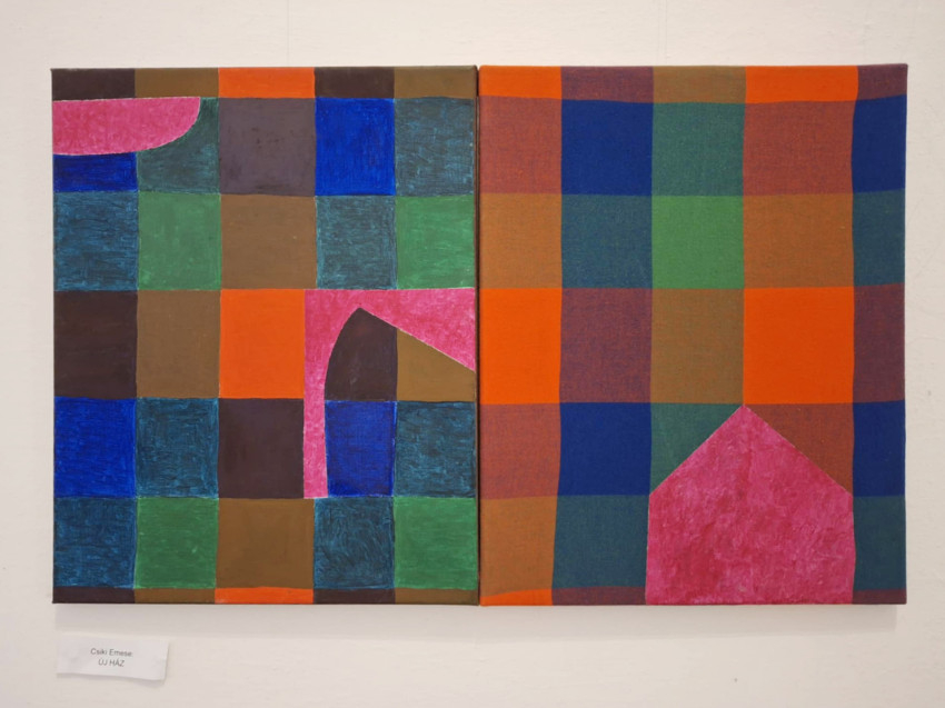 Csiki Emese: Új ház