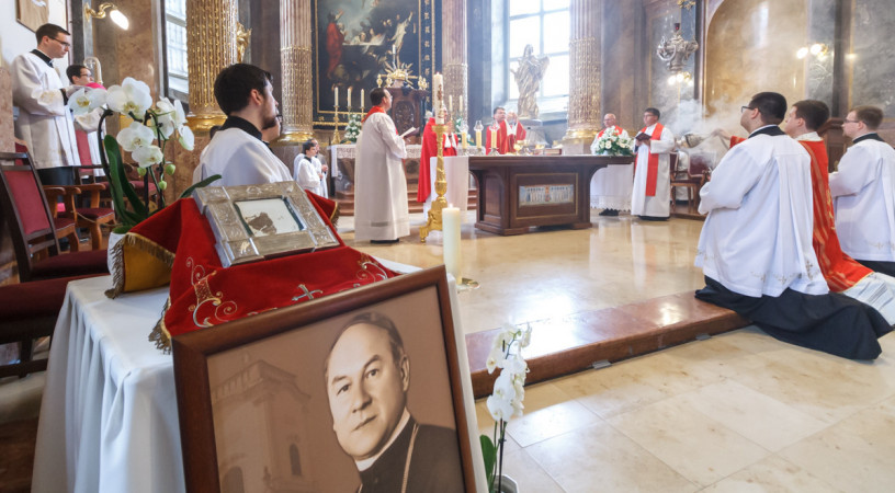 Örömet sugárzó papokra van szükség! – Apor Vilmos püspök ünnepe Győrben